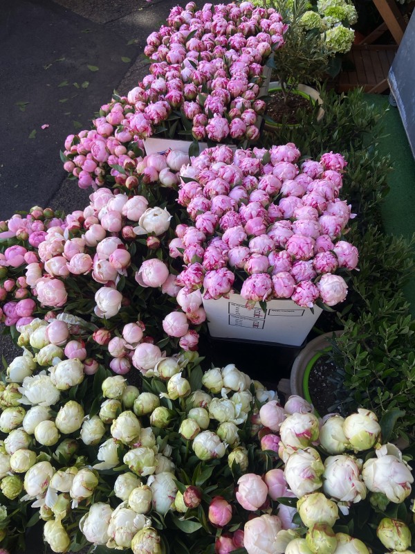 Artisan fleuriste pour bouquet de pivoine à Marseille