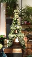 Notre zone d'activité pour ce service Fleuriste pour décoration de vitrine de Noël