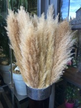 Notre zone d'activité pour ce service Fleuriste pour gender reveal